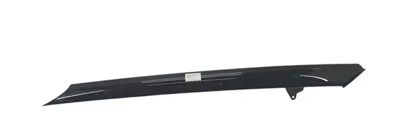 Cupra Tavascan Front door trim (molding) 11H853264A