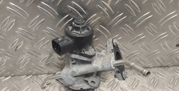 EGR valve