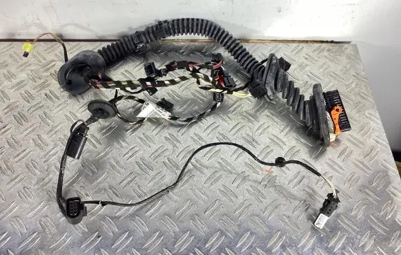 Porsche Cayenne (92A) Front door wiring loom 7P5971162AM