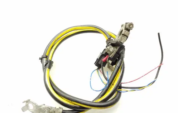 Nissan Leaf I (ZE0) Negative earth cable (battery) 240803NL0A