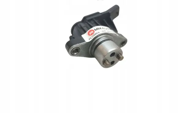 Seat Leon (1M) EGR thermostat 04E906048E