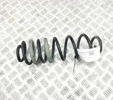Ford Ecosport Rear coil spring JN115560B3B