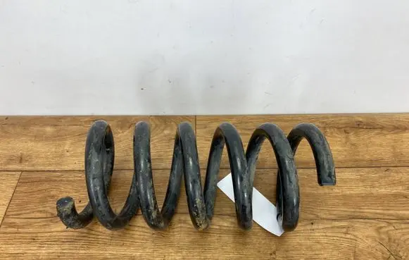 Ford Mustang VI Rear coil spring SPRMUSTANGPINYA SPRMUSTANG