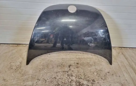 Volkswagen New Beetle Engine bonnet/hood