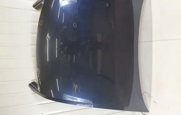 Volkswagen Phaeton Engine bonnet/hood