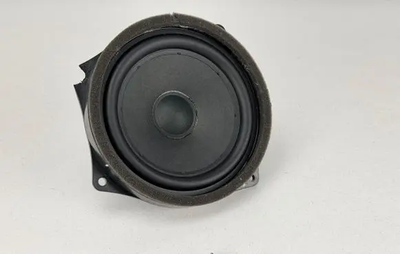 BMW i4 Subwoofer speaker 5A12336 198159 10694202