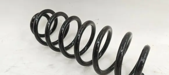 Rear coil spring