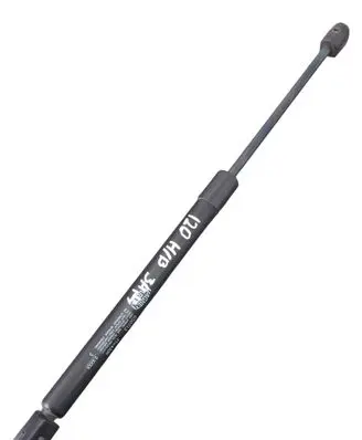 Tailgate/trunk strut/damper