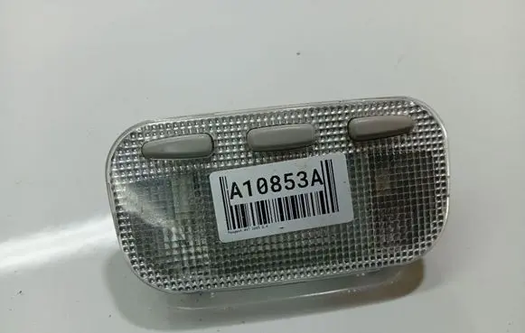 Peugeot 407 Front seat light