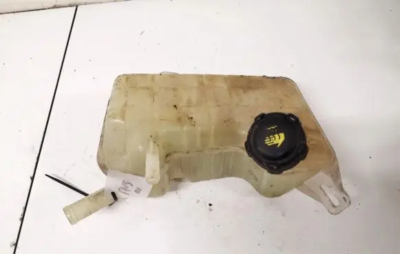 Renault Scenic II - Grand scenic II Coolant expansion tank/reservoir 8200262036