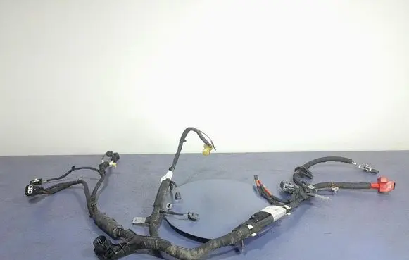 Ford Mustang I Other wiring loom LR3T-14B060-DD