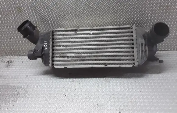 Peugeot 407 Intercooler radiator