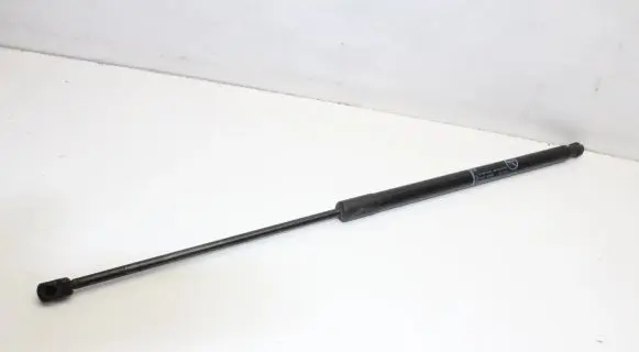 Ford C-MAX II Tailgate/trunk strut/damper AM51U406A10AF