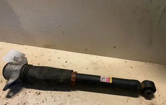 Toyota RAV 4 (XA50) Rear shock absorber/damper 4853042130