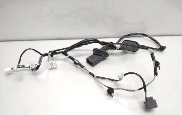 Rear door wiring loom