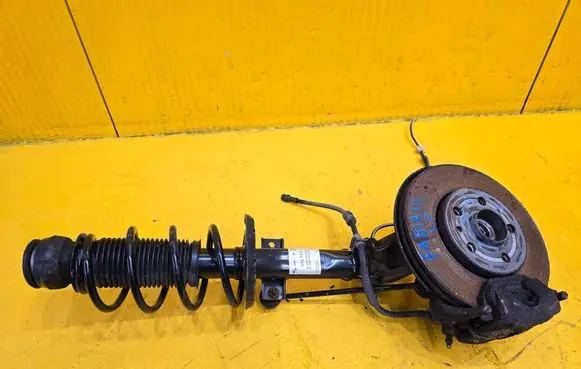 Skoda Fabia Mk3 (NJ) Front wheel hub spindle knuckle 314717 824903016912