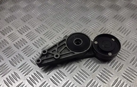 Volkswagen PASSAT B5.5 Alternator belt tensioner pulley 04423010-002