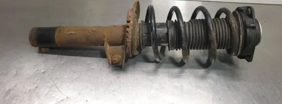 Front shock absorber with coil spring