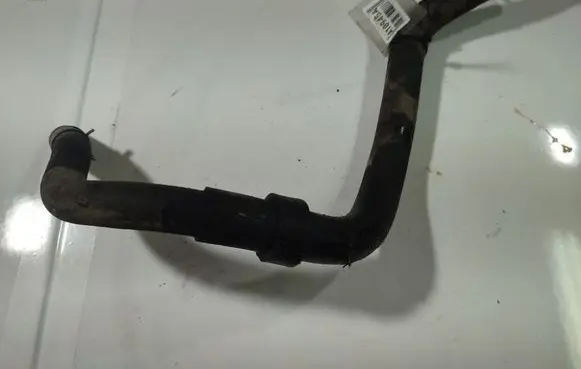 Nissan Almera Tino Engine coolant pipe/hose 