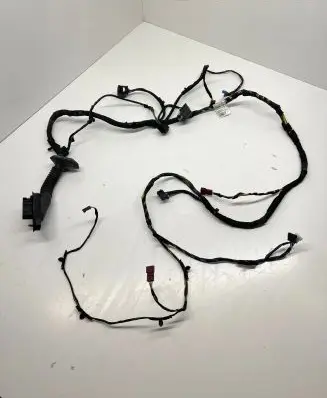 Front door wiring loom
