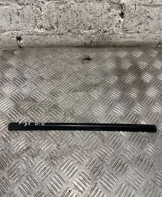 BMW 3 F30 F35 F31 Rear door glass trim molding 7336792