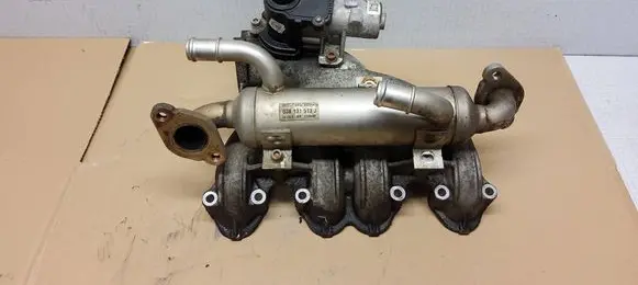 Volkswagen Transporter - Caravelle T5 EGR valve 70036505 7259049033 038131513J