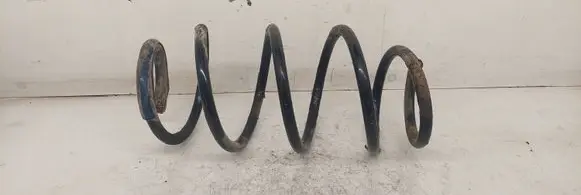 Front coil spring