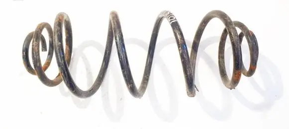 Rear coil spring