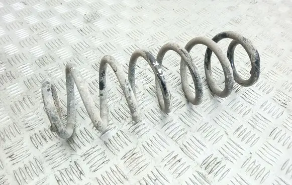 Volkswagen PASSAT B6 Rear coil spring