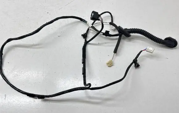 Rear door wiring loom