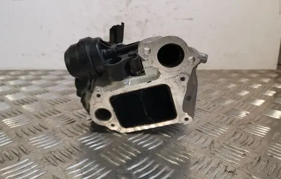 Ford Kuga II EGR valve V290316398VOL