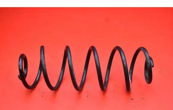 Rear coil spring