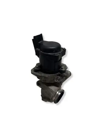 Ford Focus C-MAX EGR valve 