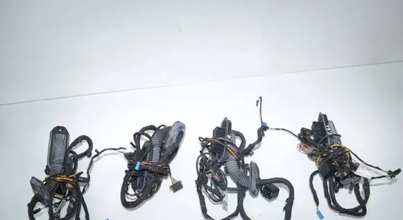 BMW 6 F06 Gran coupe Front door wiring loom 9255415 9255396 9255406