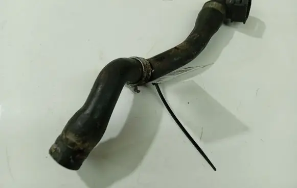 Opel Signum Engine coolant pipe/hose 