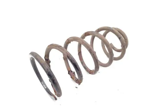 Rear coil spring