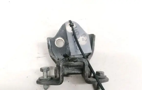 Volvo S40, V40 Rear door lower hinge