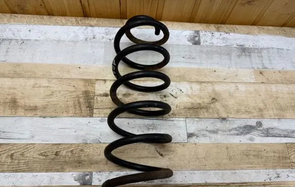 Rear coil spring