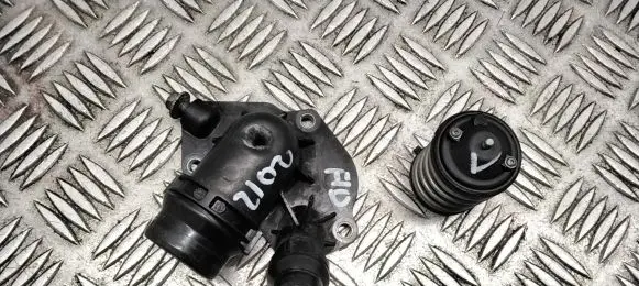 Thermostat/thermostat housing
