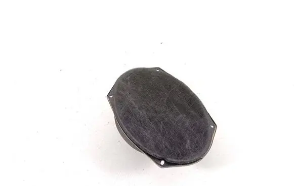 Dodge Journey Rear door speaker 05091019AB