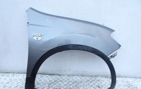 Nissan Qashqai+2 Fender b33