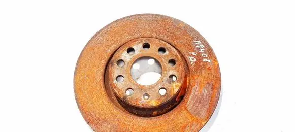 Volkswagen PASSAT B7 Front brake disc ventiliuojamas