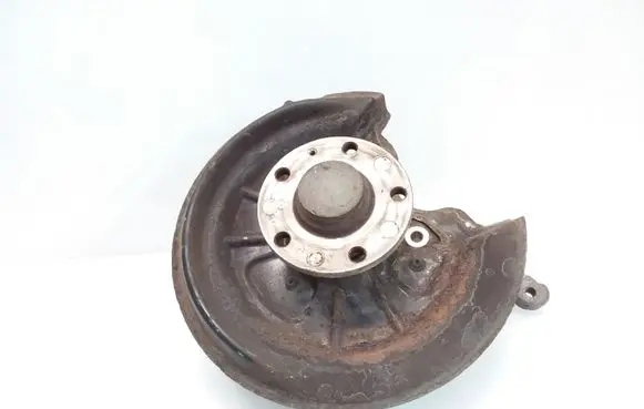 Volkswagen Golf VI Rear wheel hub spindle/knuckle 