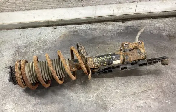 Opel Zafira B Front shock absorber with coil spring 22214012