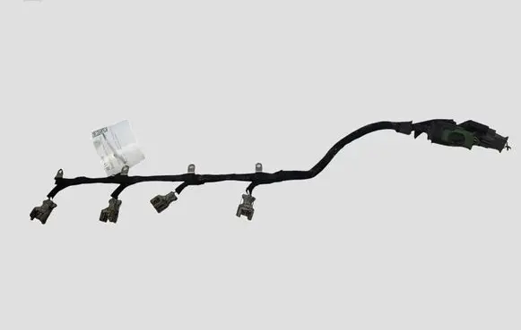 Citroen C5 Fuel injector wires
