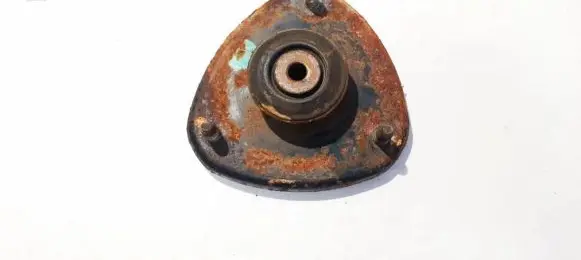 Coil spring mount