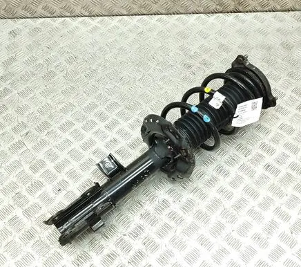 KIA Sportage Front shock absorber/damper 54650F1550