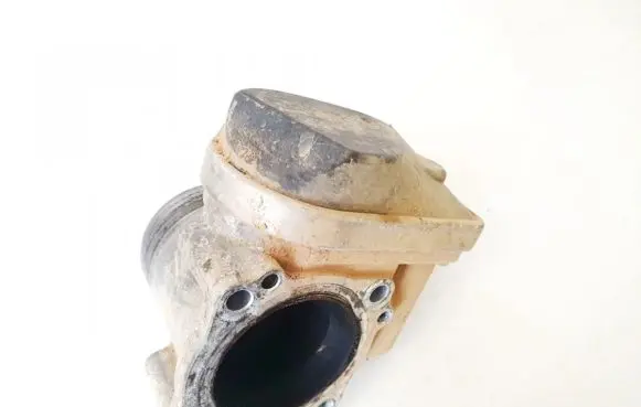 Volkswagen Golf IV Throttle valve 408238323008