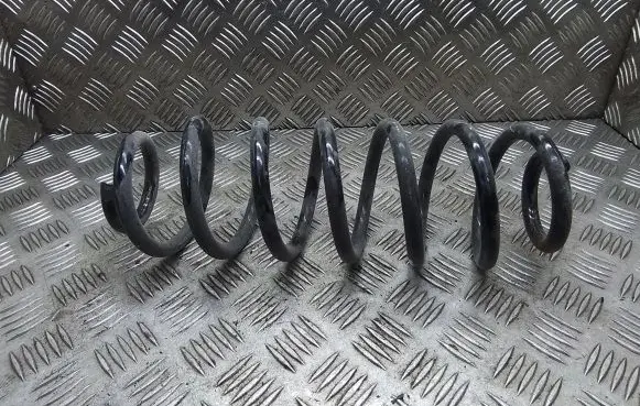 Volkswagen PASSAT B6 Rear coil spring