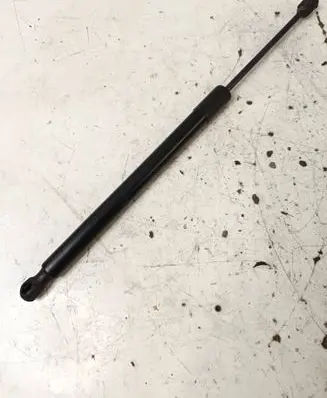 Tailgate strut